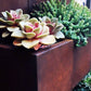 TrackDesign QUERINI | Corten Planter