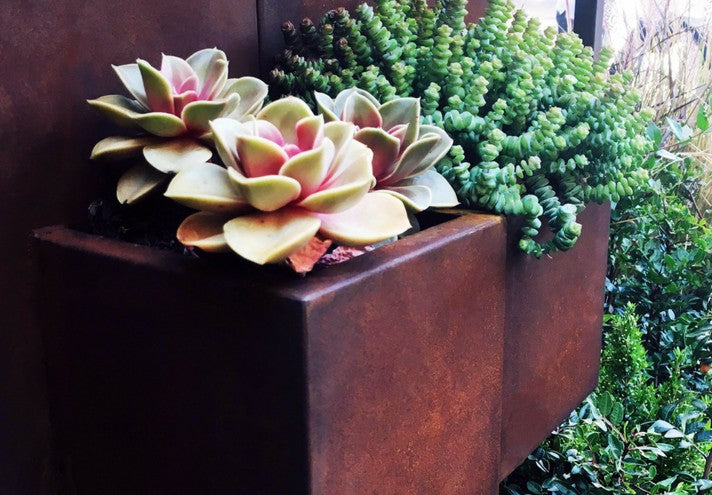 TrackDesign QUERINI | Corten Planter