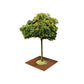 TrackDesign WAVE | Corten Tree Grid