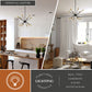 Vaxcel Ellis 25.25-in. 12 Light Pendant Matte Black and Satin Brass