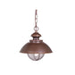 Vaxcel Harwich 10" 1-Light Burnished Bronze Coastal Outdoor Pendant Light With Clear Seeded Glass Shade