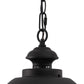 Vaxcel Harwich 10" 1-Light Textured Black Coastal Outdoor Pendant Light With Clear Seeded Glass Shade