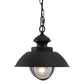 Vaxcel Harwich 10" 1-Light Textured Black Coastal Outdoor Pendant Light With Clear Seeded Glass Shade