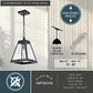 Vaxcel Tremont 10 in. W Pendant Matte Black