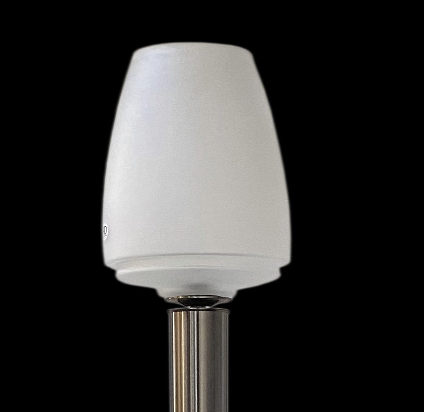 Vetreria Artistica Rosa Boem 83" Black Brushed Nickel Frame With Sandblasted Crystal Cone Glass Shade Floor Lamp