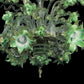 Vetreria Artistica Rosa Incanto 6-Lights Green Crystal Base and Green Flower Accent Glass Chandelier