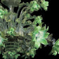 Vetreria Artistica Rosa Incanto 6-Lights Green Crystal Base and Green Flower Accent Glass Chandelier