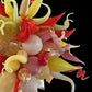 Vetreria Artistica Rosa Scultura Allegra 13-Lights Red and Yellow Artistic Design Glass Chandelier