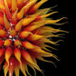 Vetreria Artistica Rosa Sole 150-Lights Faded Yellow Red Flame Glass Chandelier