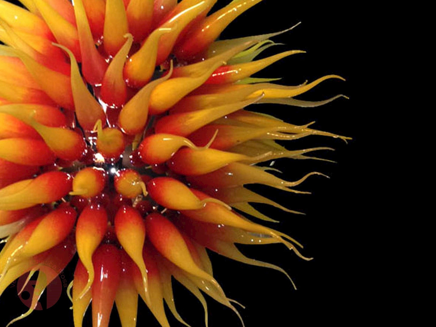 Vetreria Artistica Rosa Sole 150-Lights Faded Yellow Red Flame Glass Chandelier