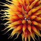 Vetreria Artistica Rosa Sole 150-Lights Faded Yellow Red Flame Glass Chandelier