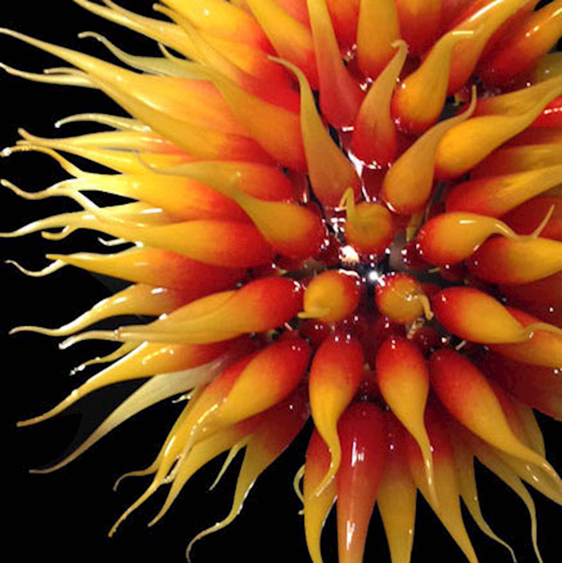 Vetreria Artistica Rosa Sole 150-Lights Faded Yellow Red Flame Glass Chandelier