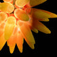 Vetreria Artistica Rosa Sole 2 30-Lights Faded Yellow Orange Glass Chandelier