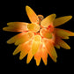 Vetreria Artistica Rosa Sole 2 30-Lights Faded Yellow Orange Glass Chandelier