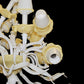 Vetreria Artistica Rosa Vento 12-Lights White Base With Ivory Details Glass Chandelier