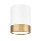 Z-Lite Algar 6" 1-Light LED Matte White and Modern Gold Steel With Frosted Acrylic Shade Flush Mount Light