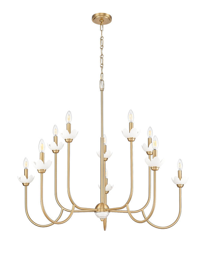 Z-Lite Allistair 10-Light Candelabra Bulb Base Modern Gold Steel Frame Clear Ribbed Glass Shade Chandelier
