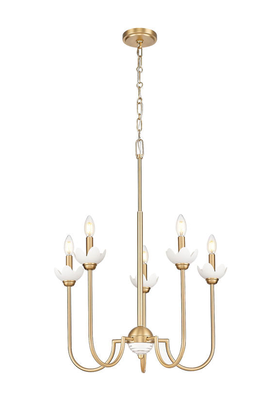 Z-Lite Allistair 5-Light Candelabra Bulb Base Modern Gold Steel Frame Clear Ribbed Glass Shade Chandelier