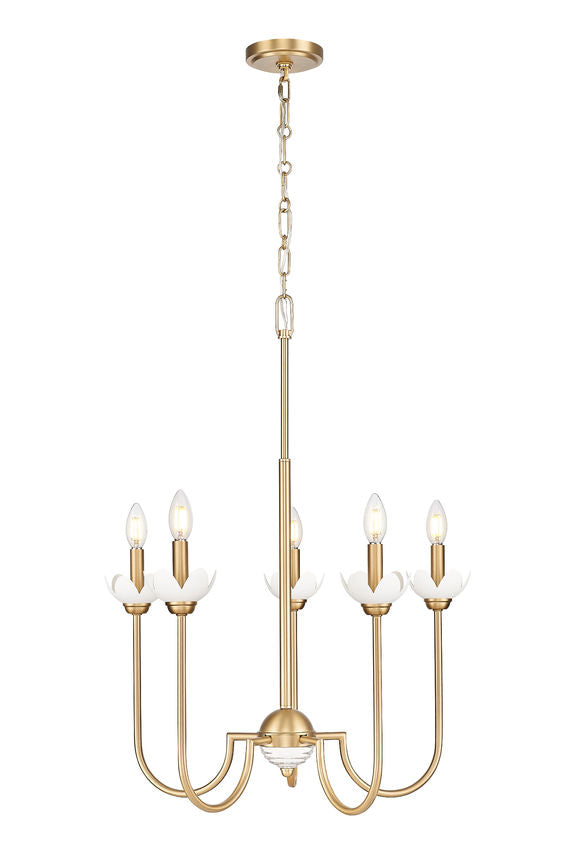 Z-Lite Allistair 5-Light Candelabra Bulb Base Modern Gold Steel Frame Clear Ribbed Glass Shade Chandelier