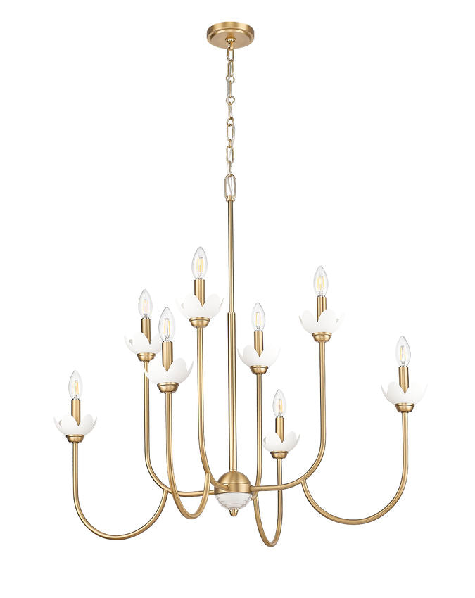 Z-Lite Allistair 8-Light Candelabra Bulb Base Modern Gold Steel Frame Clear Ribbed Glass Shade Chandelier