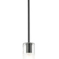 Z-Lite Alton 824P-ROD 5" 1-Light Matte Black Steel and Clear Frosted Glass Shade Pendant Light