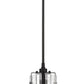 Z-Lite Alverton 6" 1-Light Matte Black Mini Pendant Light With Clear Glass Shade