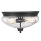 Z-Lite Amon 13" 2-Light Matte Black Flush Mount Lighting With Clear Seedy Glass Shade