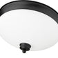 Z-Lite Amon 13" 2-Light Matte Black Flush Mount Lighting With Matte Opal Glass Shade