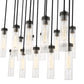 Z-Lite Arden 42" 17-Light Matte Black Steel Clear Glass Shade Linear Chandelier