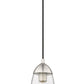 Z-Lite Arden 5" 1-Light Brushed Nickel Pendant Light With Clear Glass Shade