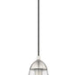 Z-Lite Arden 5" 1-Light Brushed Nickel Pendant Light With Clear Glass Shade