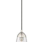 Z-Lite Arden 5" 1-Light Brushed Nickel Pendant Light With Clear Glass Shade