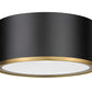 Z-Lite Arlo 13" 2-Light Matte Black and Rubbed Brass Steel Flush Mount Lighting