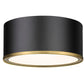 Z-Lite Arlo 13" 2-Light Matte Black and Rubbed Brass Steel Flush Mount Lighting