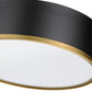 Z-Lite Arlo 16" 3-Light Matte Black and Rubbed Brass Steel Flush Mount Lighting