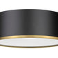 Z-Lite Arlo 16" 3-Light Matte Black and Rubbed Brass Steel Flush Mount Lighting