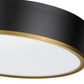 Z-Lite Arlo 20" 4-Light Matte Black and Rubbed Brass Steel Flush Mount Lighting