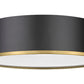 Z-Lite Arlo 20" 4-Light Matte Black and Rubbed Brass Steel Flush Mount Lighting