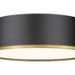 Z-Lite Arlo 20" 4-Light Matte Black and Rubbed Brass Steel Flush Mount Lighting