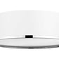 Z-Lite Arlo 20" 4-Light Matte White and Chrome Steel Flush Mount Lighting