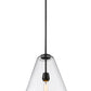 Z-Lite Ayra 1-Light Medium Bulb Base Matte Black Steel Clear Glass Shade Pendant Light