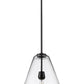 Z-Lite Ayra 1-Light Medium Bulb Base Matte Black Steel Clear Glass Shade Pendant Light