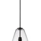 Z-Lite Ayra 1-Light Medium Bulb Base Matte Black Steel Clear Glass Shade Pendant Light
