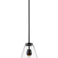 Z-Lite Ayra 8" 1-Light Medium Bulb Base Matte Black Steel Clear Glass Shade Pendant Light