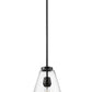 Z-Lite Ayra 8" 1-Light Medium Bulb Base Matte Black Steel Clear Glass Shade Pendant Light