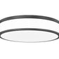 Z-Lite Ballord 16" 1-Light LED-Integrated Matte Black Steel and Frosted Acrylic Shade Flush Mount Light