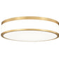 Z-Lite Ballord 16" 1-Light LED-Integrated Modern Gold Steel and Frosted Acrylic Shade Flush Mount Light