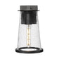 Z-Lite Bar Harbor 8" 1-Light Sand Black and Clear Seedy Glass Shade Outdoor Wall Light