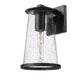 Z-Lite Bar Harbor 8" 1-Light Sand Black and Clear Seedy Glass Shade Outdoor Wall Light