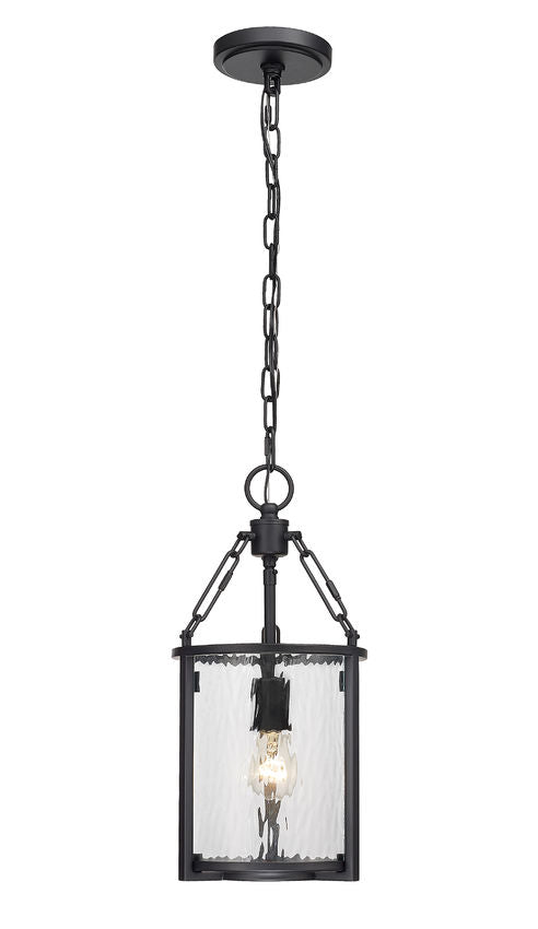Z-Lite Barrington 8" 1-Light Matte Black Pendant Light With Clear Waterglass Shade